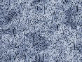 xm007992.gif