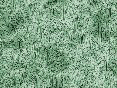xm007990.gif
