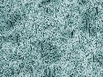 xm007989.gif