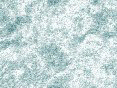 xm007987.gif