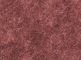 xm007984.gif