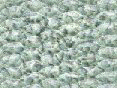 xm007980.gif