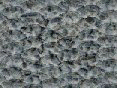 xm007979.gif