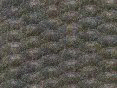 xm007976.gif