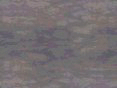 xm007973.gif
