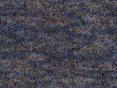 xm007972.gif
