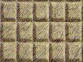 xm007969.gif