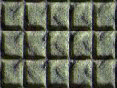 xm007967.gif