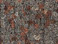 xm007964.gif