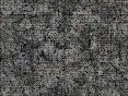 xm007963.gif