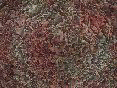 xm007956.gif