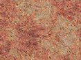 xm007955.gif