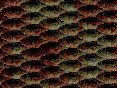 xm007954.gif