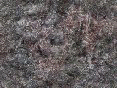 xm007953.gif