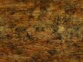 xm007949.gif