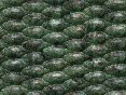 xm007947.gif