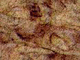 xm007946.gif
