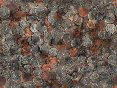 xm007945.gif