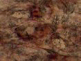 xm007944.gif