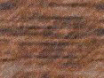 xm007940.gif