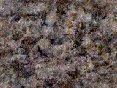 xm007938.gif