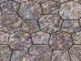 xm007937.gif