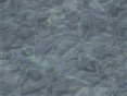 xm007929.gif