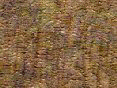 xm007928.gif