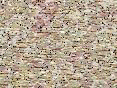 xm007926.gif