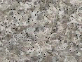 xm007923.gif