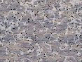xm007920.gif