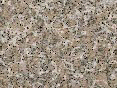 xm007918.gif