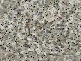 xm007917.gif