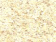 xm007913.gif