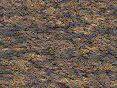 xm007911.gif