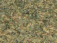 xm007909.gif