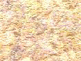 xm007906.gif
