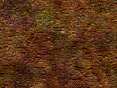 xm007902.gif