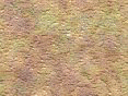 xm007900.gif