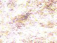 xm007898.gif