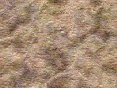 xm007896.gif
