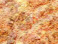 xm007895.gif