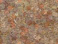 xm007893.gif