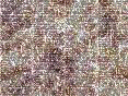 xm007892.gif