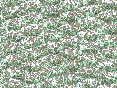 xm007891.gif