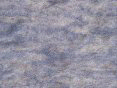xm007889.gif