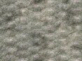 xm007887.gif