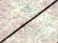 xm007880.gif