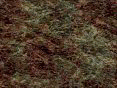 xm007878.gif