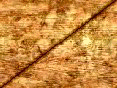xm007863.gif
